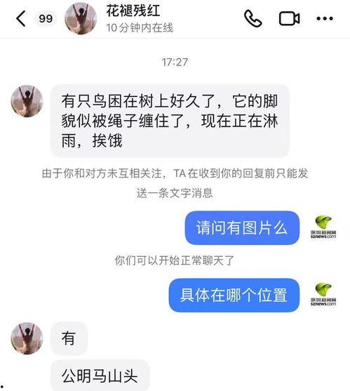 深圳女士最新爆料新闻,揭秘某知名企业惊人内幕
